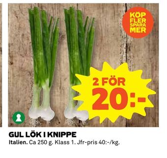 Coop Daglivs Gul lök i knippe erbjuda