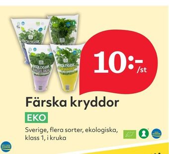 Hemköp Färska kryddor erbjuda