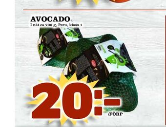 Avocado