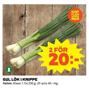 Coop Extra Gul lök i knippe erbjuda