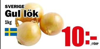 Matdax Gul lök erbjuda