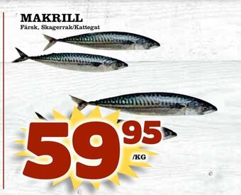 Matvärlden Tensta Makrill erbjuda