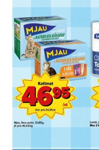 Mjau kattmat