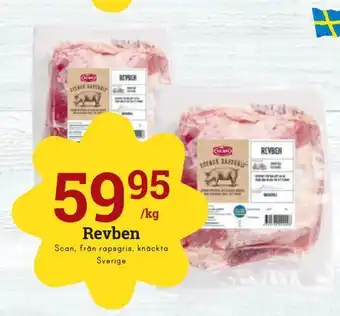 Revben