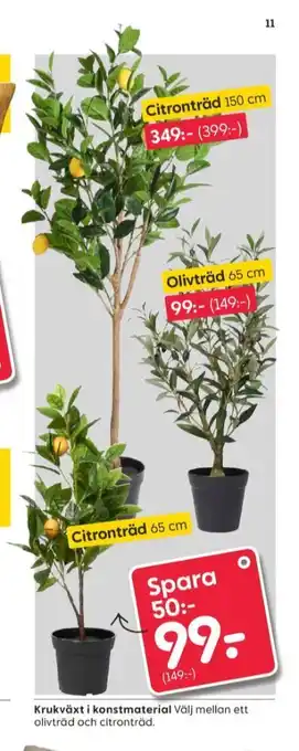 Bestway blommor