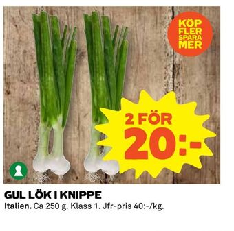 Coop Gul lök i knippe erbjuda
