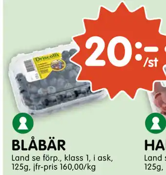Tempo Blåbär 125g erbjuda