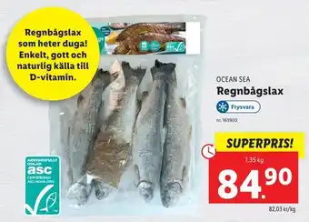 Regnbågslax