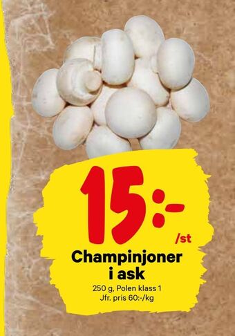 City Gross Champinjoner i ask erbjuda