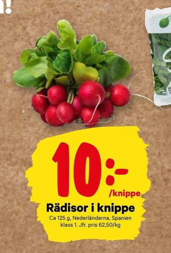 City Gross Rädisor i knippe erbjuda