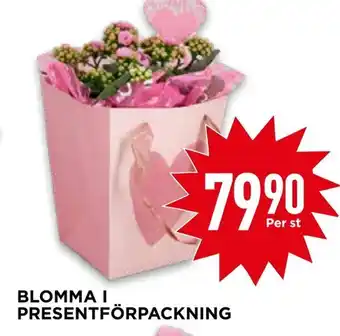 Blomma i presentförpackning