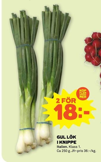 Stora Coop Gul lök i knippe erbjuda