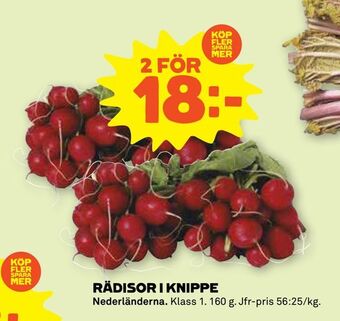 Stora Coop Rädisor i knippe erbjuda