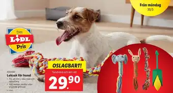 Lidl Zoofari Leksak för hund erbjuda