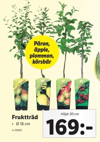Lidl Fruktträd erbjuda