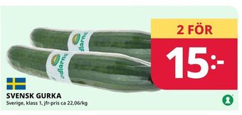 Tempo Svensk gurka erbjuda