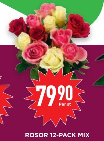Willys Hemma Rosor 12-pack mix erbjuda