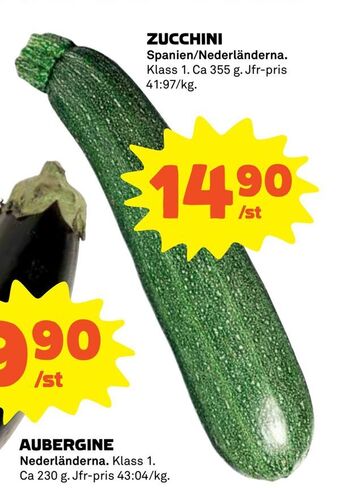 Zucchini