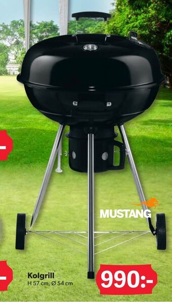 DollarStore Kolgrill erbjuda