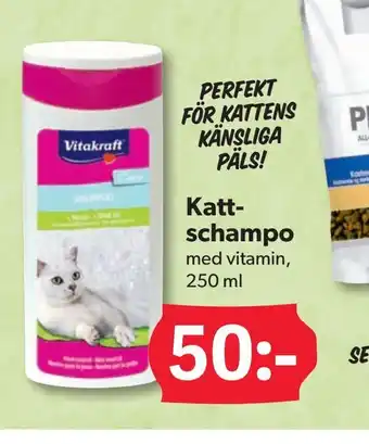 Katt schampo