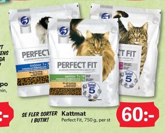 DollarStore Kattmat erbjuda