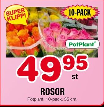 Rosor