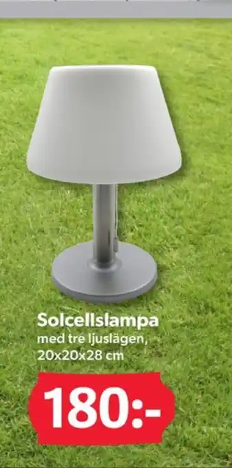 DollarStore Havsö solcellslampor erbjuda
