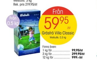EKO Weibull gräsfrö erbjuda