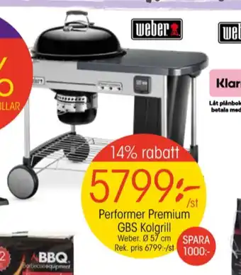 Weber klotgrill