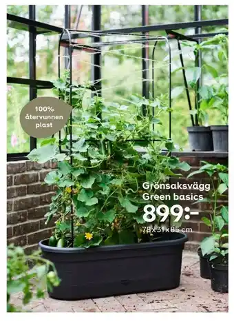 Grönsaksvägg Green basics