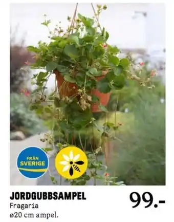 Blomsterlandet Jordgubbsampel erbjuda