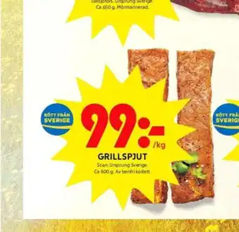 Scan grillspjut