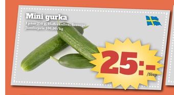 Bonum Matmarknad Mini gurka erbjuda