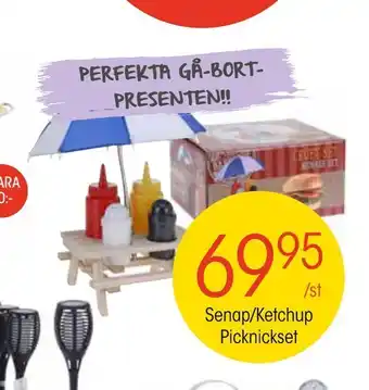 Senap/Ketchup Picknickset