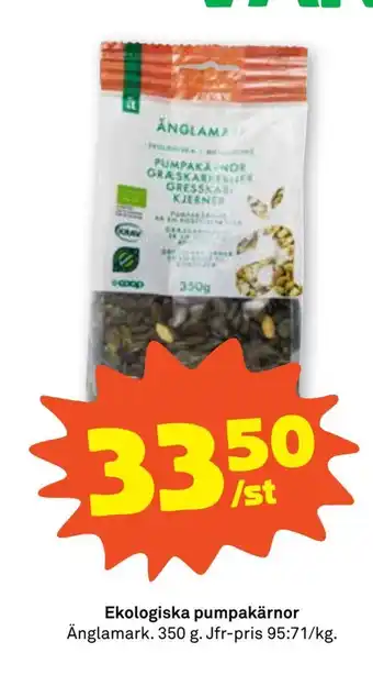Ekologiska pumpakärnor