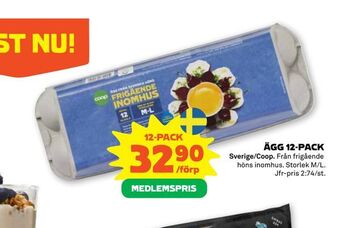 Stora Coop Ägg 12-pack erbjuda