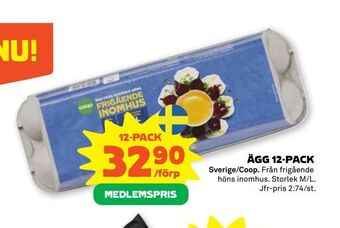 Stora Coop Ägg 12-pack erbjuda