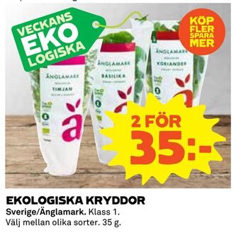 Coop Ekologiska kryddor erbjuda