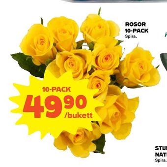 Coop Rosor 10-pack erbjuda