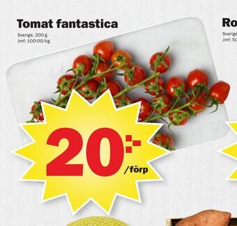 Tomat fantastica