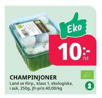 Tempo Champinjoner erbjuda