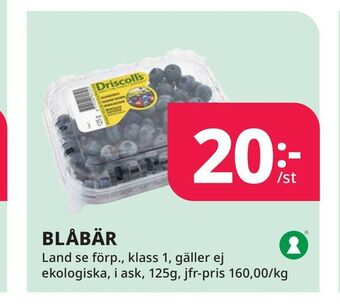 Tempo Blåbär erbjuda