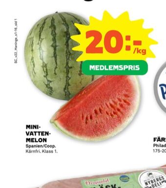 Stora Coop Coop vattenmelon erbjuda