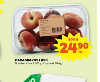 Stora Coop Ica paraguayos erbjuda