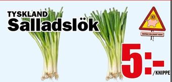 Matdax Salladslök erbjuda