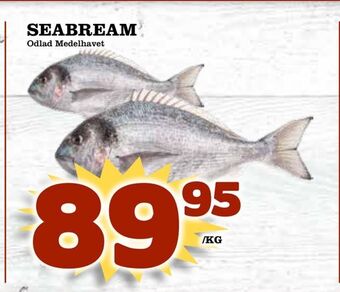 Matvärlden Tensta Seabream erbjuda