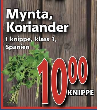 Supergrossen Mynta, Koriander erbjuda