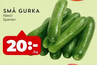 Små Gurka