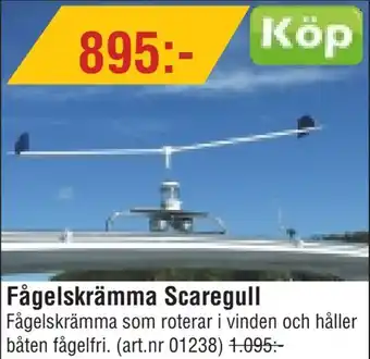 Fågelskrämma Scaregull
