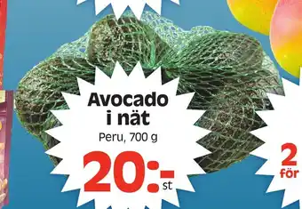Götgatsbacken Avocado i nät 700g erbjuda